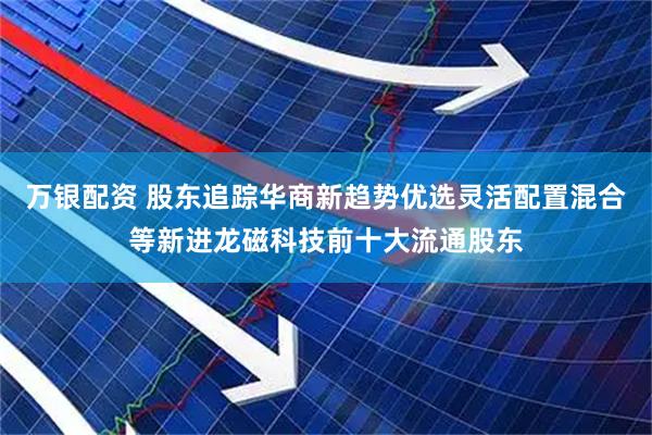 万银配资 股东追踪华商新趋势优选灵活配置混合等新进龙磁科技前十大流通股东