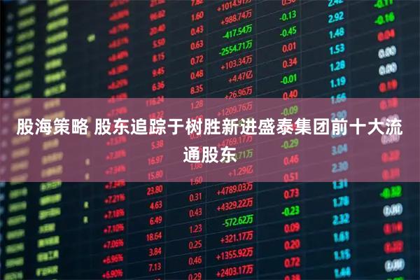 股海策略 股东追踪于树胜新进盛泰集团前十大流通股东