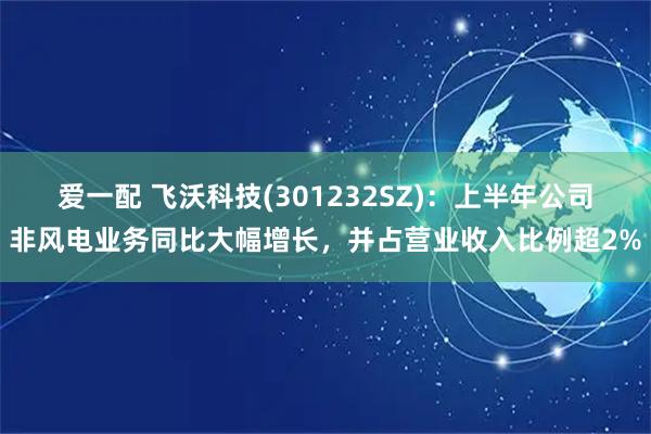 爱一配 飞沃科技(301232SZ)：上半年公司非风电业务同比大幅增长，并占营业收入比例超2%