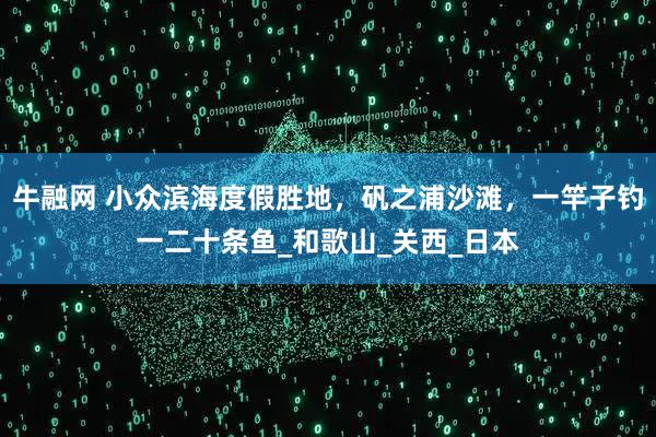 牛融网 小众滨海度假胜地，矾之浦沙滩，一竿子钓一二十条鱼_和歌山_关西_日本