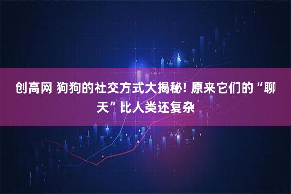 创高网 狗狗的社交方式大揭秘! 原来它们的“聊天”比人类还复杂
