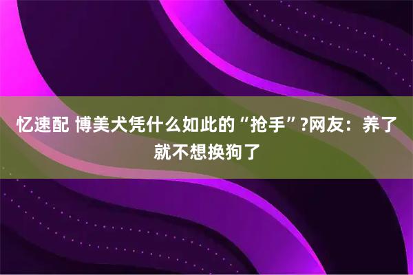 忆速配 博美犬凭什么如此的“抢手”?网友：养了就不想换狗了