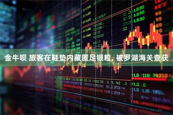 金牛呗 旅客在鞋垫内藏匿足银粒, 被罗湖海关查获