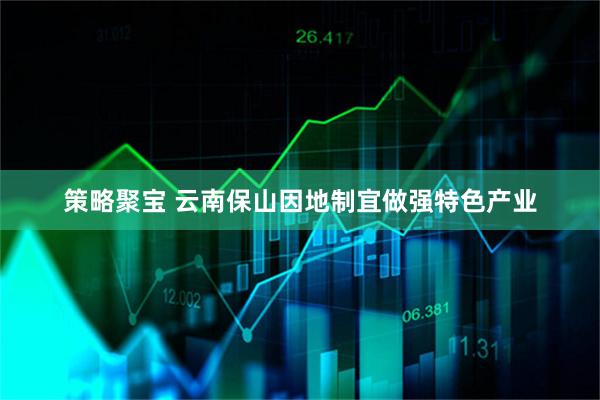 策略聚宝 云南保山因地制宜做强特色产业