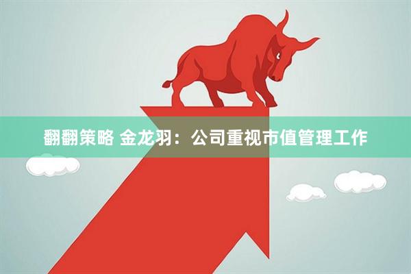 翻翻策略 金龙羽:公司重视市值管理工作