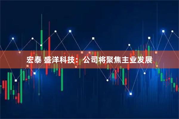 宏泰 盛洋科技：公司将聚焦主业发展